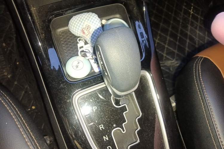 Used Land X2 2017 1.6L Automatic Platinum Edition Gear Lever