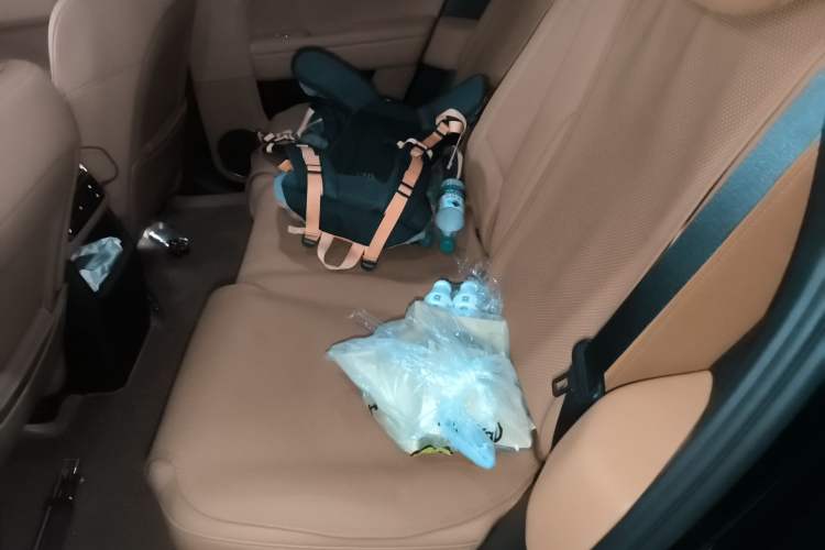 Used Li Auto L6 2024 Pro Model