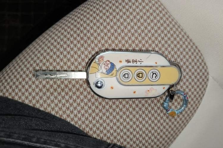 Used Wuling Hongguang MINIEV 2024 3rd Generation 215km Advanced Version Vehicle Key