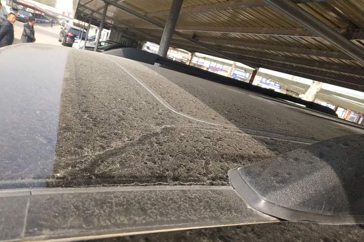 Used Tank 300 2024 2.0T Conqueror