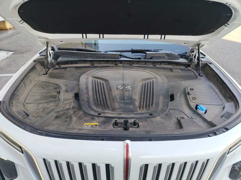 Used Hongqi E-HS9 2022 690 km Range Flagship Edition Six Seats — 21