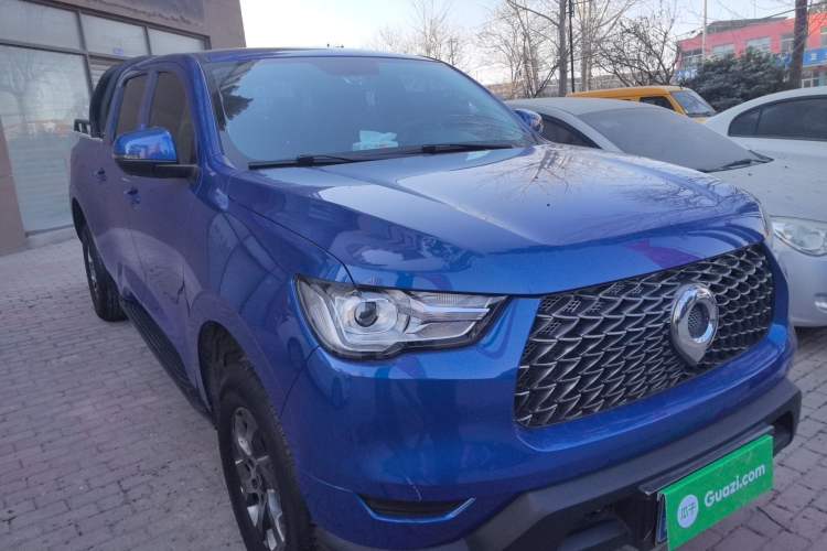 Used Great Wall Poer 2021 2.0T Commercial Version Manual Diesel Two-Wheel Drive Elite Long-Box GW4D20M