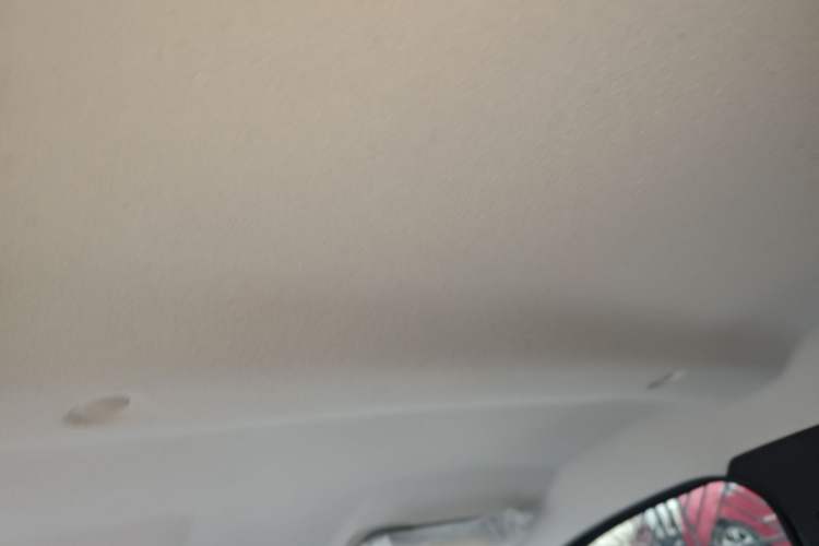 Used Dongfeng NAMMI EX1 2022 Restyled PRO Tiger Glory Deluxe Version Headliner