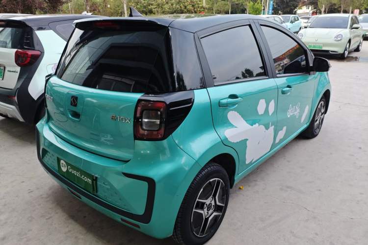 Used SOL E10X 2022 Flower Fairy Design Four-Leaf Clover Rear Right 45 Deg