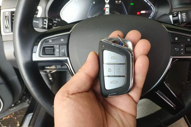 Used JAC iEVA60 2019 Flagship Model