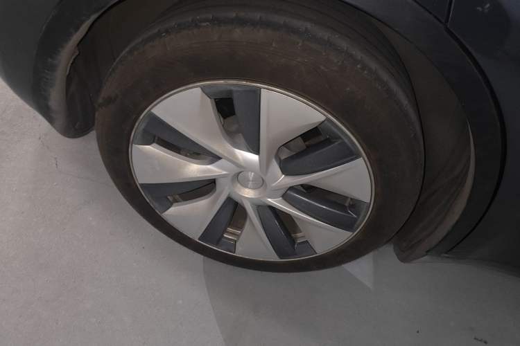 Used Tesla Model Y 2021 Standard Range Rear-Wheel Drive Version