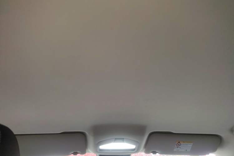 Used Radar King Kong 2025 430 km Two-Wheel Drive Standard Box – Lucky King Headliner