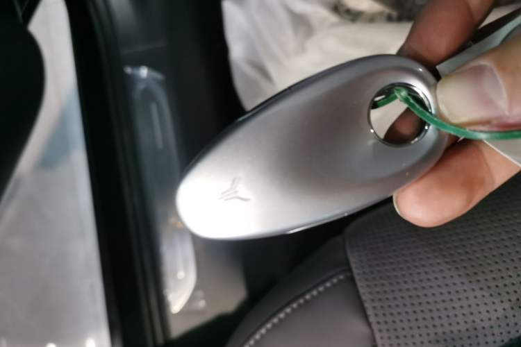 Used VOYAH PASSION 2024 PHEV Four-Wheel Drive Ultra-Long Range Flagship Model
