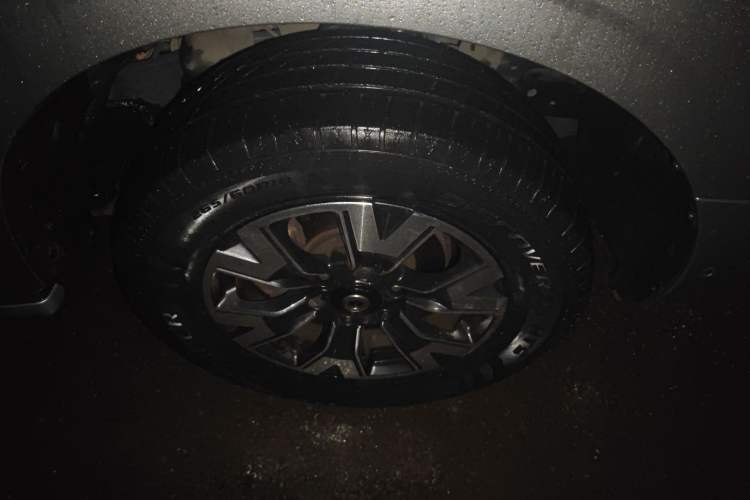 Used Great Wall Poer 2019 2.0T Automatic Gasoline 4x4 Premium Edition GW4C20B
