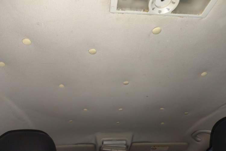 Used Volkswagen Tiguan 2015 1.8TSI Automatic Two-Wheel Drive Trend Edition Headliner