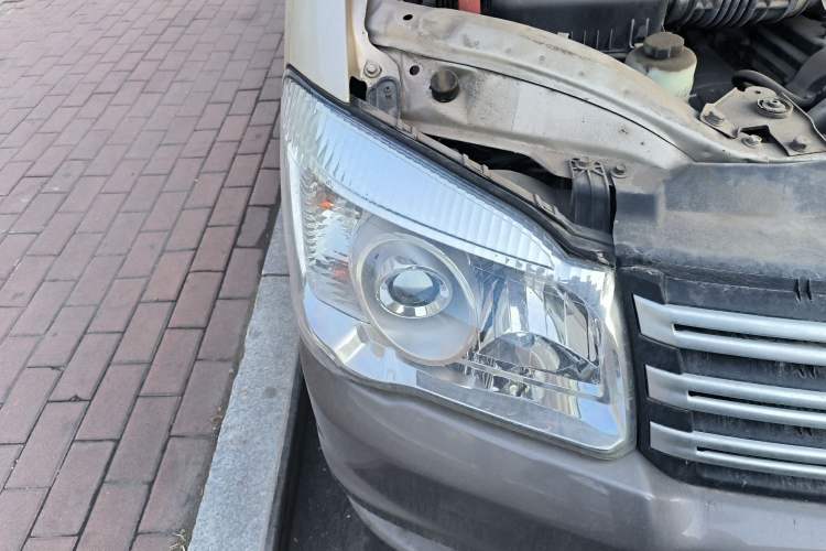 Used FORTHING Lingzhi 
