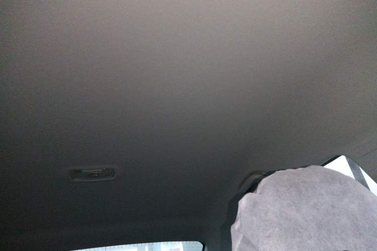 Used FORTHING S50 2021 Battery-Swapping Version