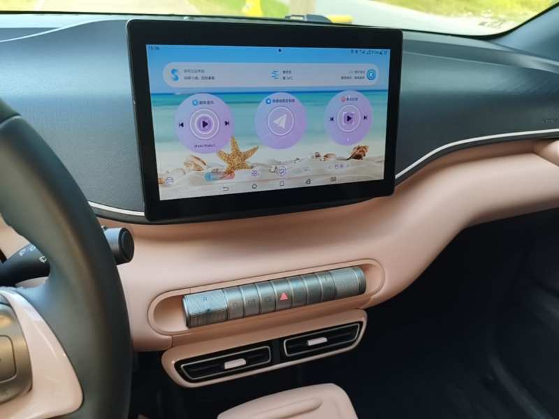 Used BYD Seagull 2025 305 km Free Version — 12