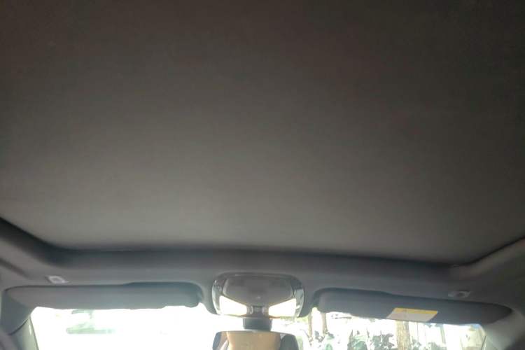 Used BMW X4 2019 xDrive25i M Sport Package Headliner