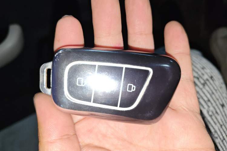 Used Chery Little Ant 2024 321km Love Edition
