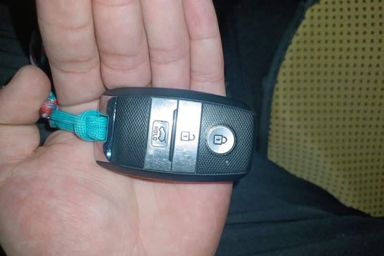 Used Kia KX7 2020 2.0T Automatic Two-Wheel Drive GLS 7-Seater
