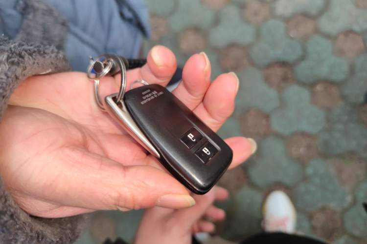 Used Lexus NX 2020 200 Front-Wheel Drive Freeline Edition China VI Standard