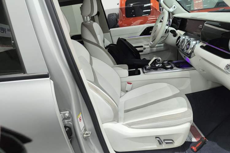 Used Cyberspace Tank 300 2021 2.0T Cyber Tank
