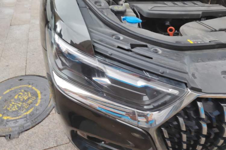 Used Haval H6 2023 National Trend Edition 1.5T Automatic Champion Version Exterior 6