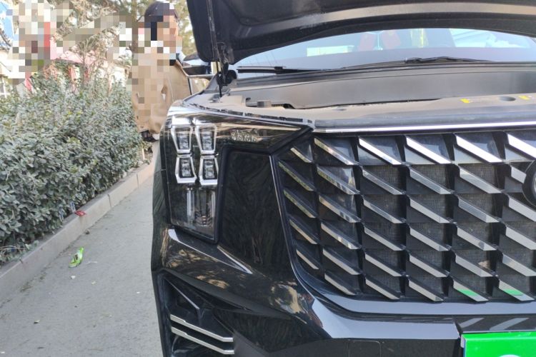 Used GAC Trumpchi GS8 2022 Linghang Series 2.0 TGDI Two-Wheel-Drive Luxury Smart Connectivity Version (7 Seats)