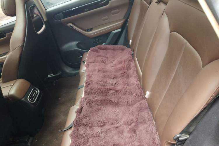 Used Leapmotor C11 2023 Pure Electric 500 Comfort Edition