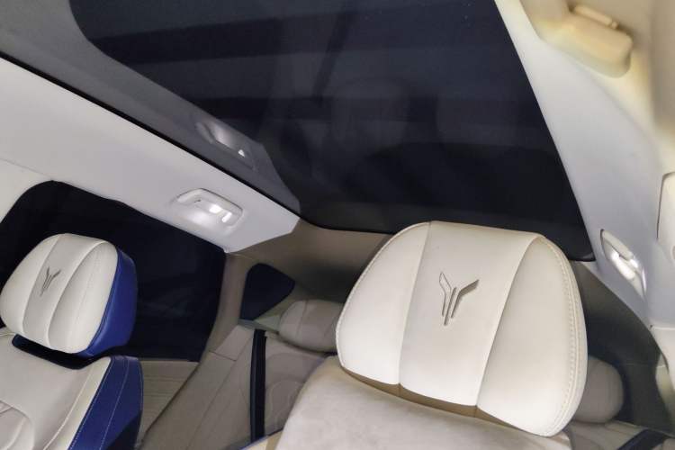 Used VOYAH FREE 2021 Four-Wheel Drive Standard Range-Extended Exclusive Luxury Package
