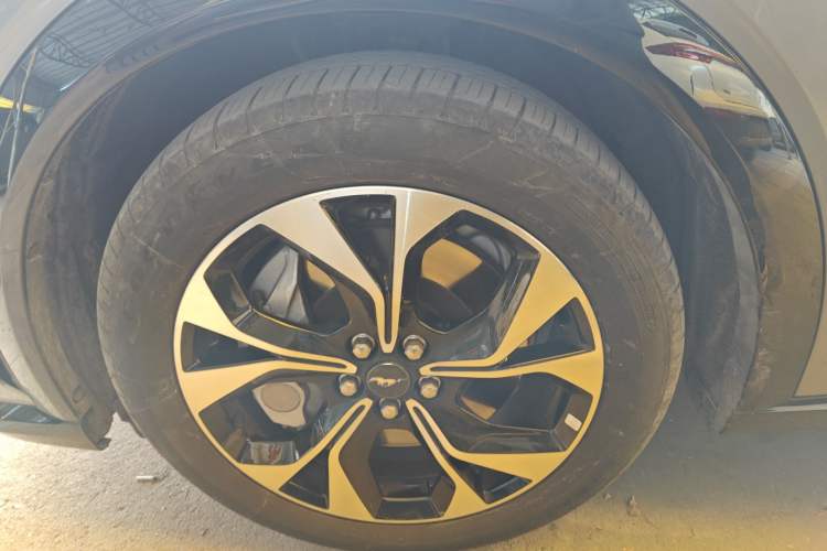 Used Ford Mustang Mach-E 2021 AION Y Plus Rear-Drive Luxury Edition (Long Range)
