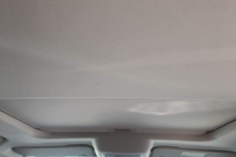 Used Tank 300 2021 Off-Road Edition 2.0T Challenger Headliner