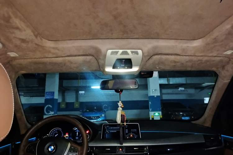 Used BMW X5  Headliner