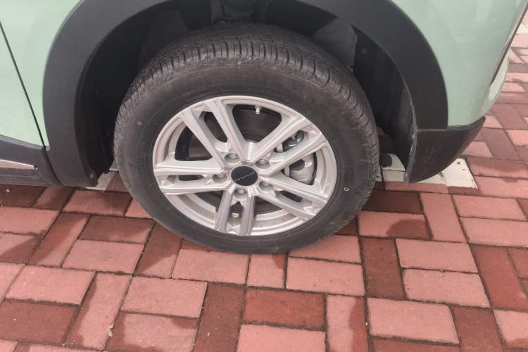 Used Dayun Yuehu 2023 300 Standard Edition