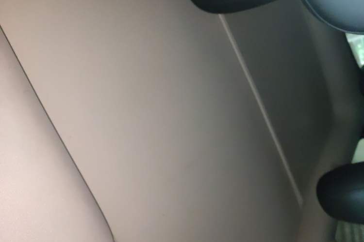 Used Tesla Model Y 2023 Rear-Wheel-Drive Version Headliner