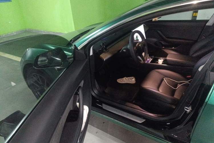 Used Tesla Model 3 2019 Standard Range Rear-Drive Upgraded Version Driver Seat