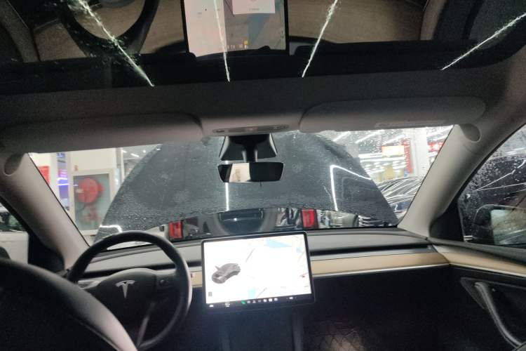 Used Tesla Model Y 2021 Standard Range Rear-Wheel Drive Version
