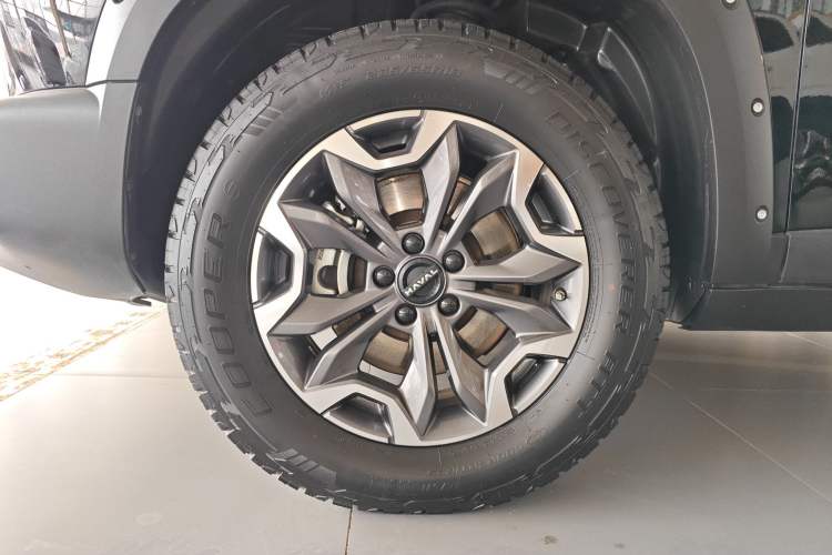 Used Haval DARGO 2024 2.0T DCT Chinese Rural Dog Edition
