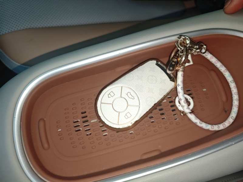 Used ORA Good Cat 2024 401 km Luxury Version 126 kW — 8