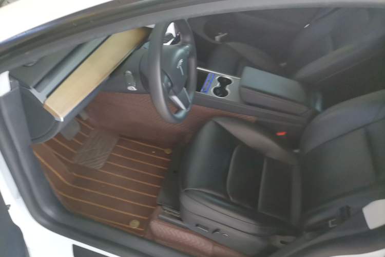 Used Tesla Model Y 2021 Standard Range Rear-Wheel Drive Version
