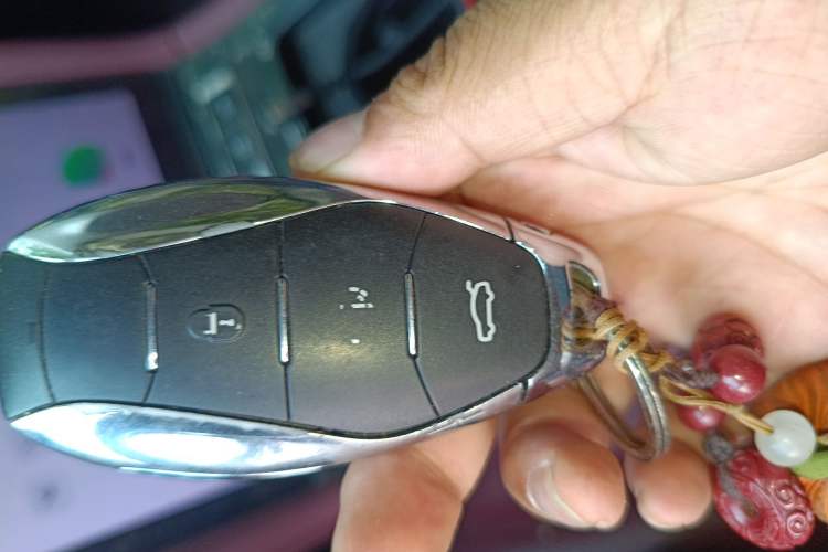 Used Hongqi H5 2023 2.0T Automatic Smart Connect Flagship Edition Vehicle Key