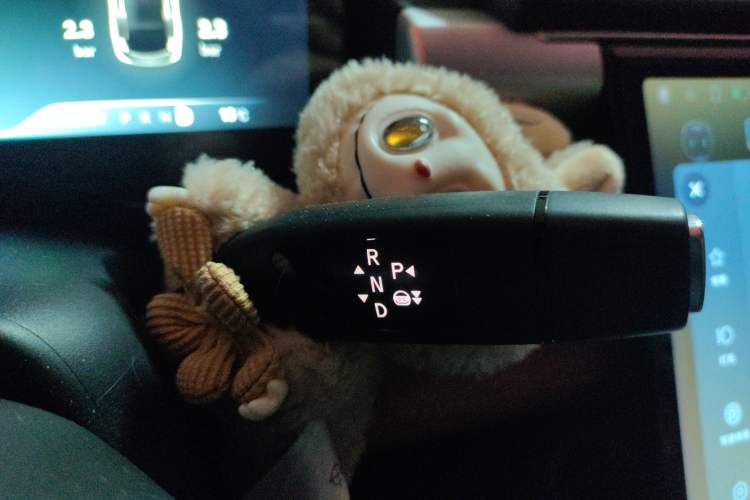 Used XPeng P5 2021 550P Gear Lever