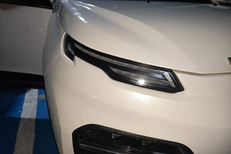 Used Dayun Yuehu 2021 32.85 kWh Two-Wheel-Drive Sprite Version Right Front Headlight