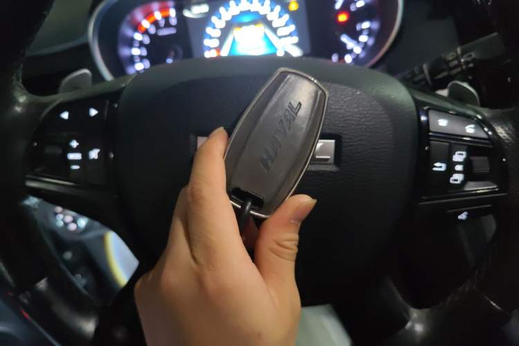 Used Haval H8 2017 2.0T Gasoline Two-Wheel Drive Smart Edition
