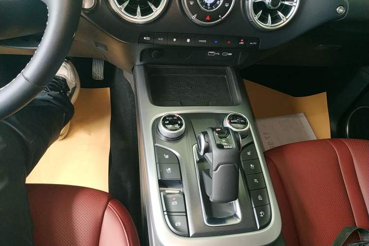 Used Tank 300 2024 2.0T Crosser