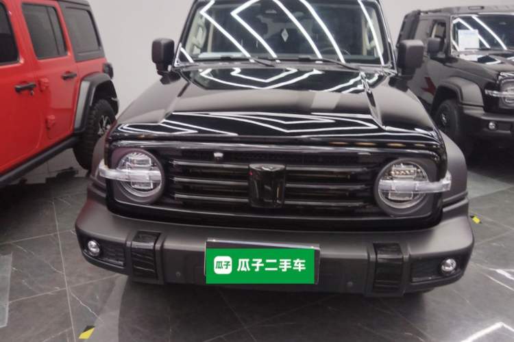 Used Tank 300 2024 2.0T Conqueror