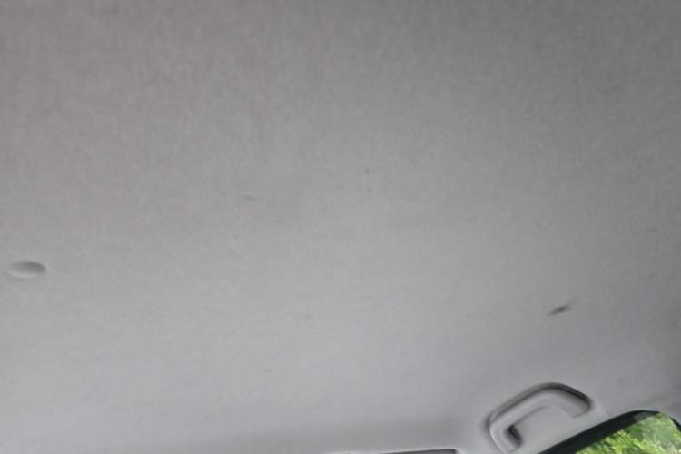 Used Geometry E Firefly 2023 320KM Cute & Handsome Tiger 5 Seats Headliner