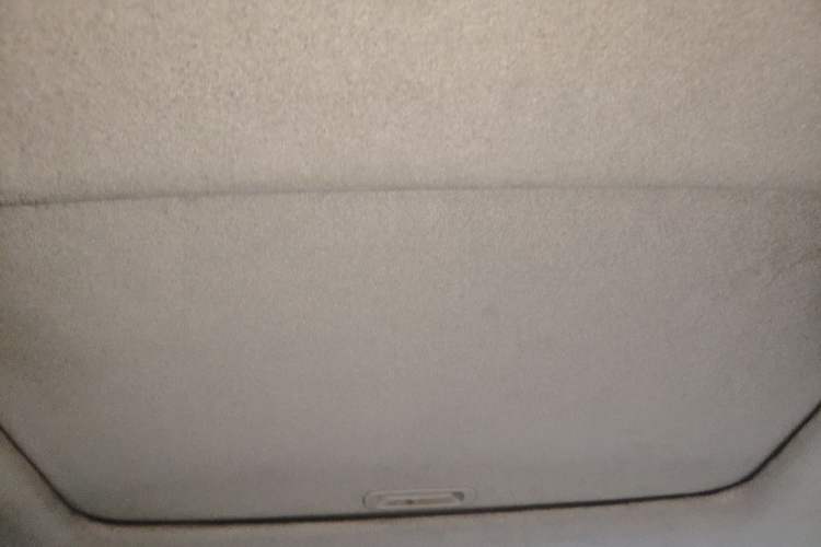 Used Honda City Classic 2008 1.5L Automatic Elite Edition Headliner