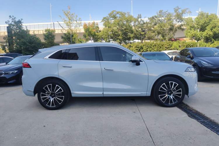 Used Wey Mocha 2021 2.0T Four-Wheel Drive Premium Edition