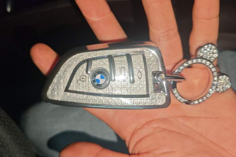 Used BMW 5 Series 2020 530Li Leading Edition Luxury Package
