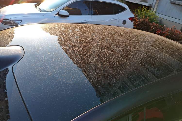 Used Avatr 07 2026 Elite Range-Extended Version Roof