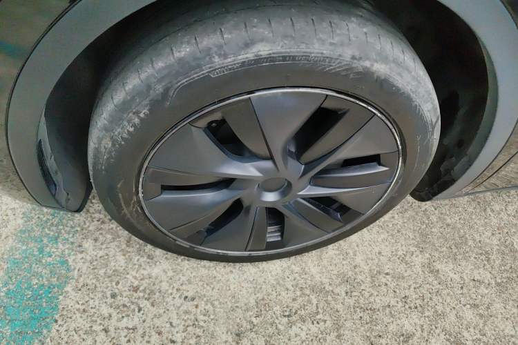 Used Tesla Model Y 2023 Rear-Wheel-Drive Version Exterior 1