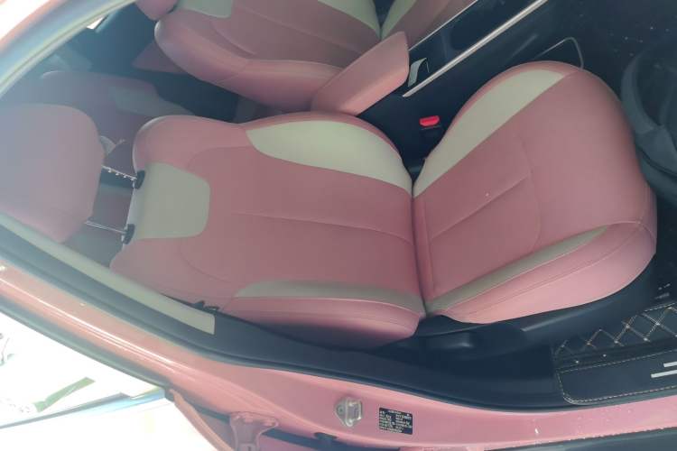 Used NETA V 2021 Witch Edition
