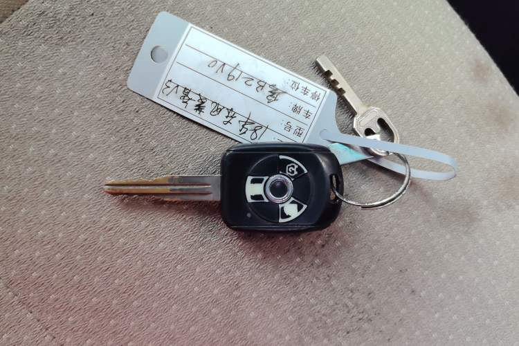 Used FORTHING Lingzhi 2018 V3L 1.6L 2-Seat Logistics Version
